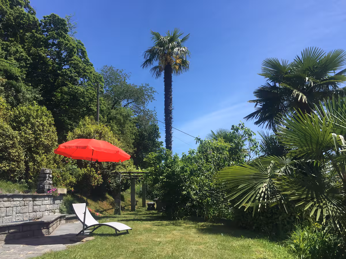Jardin de la villa avec parasol rouge, chaise longue et palmiers